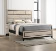 Cotemporary Chalk Drift Wood Finish Queen Size Panel Low-profile Bed Geometric Design Wooden Bedroom Furniture